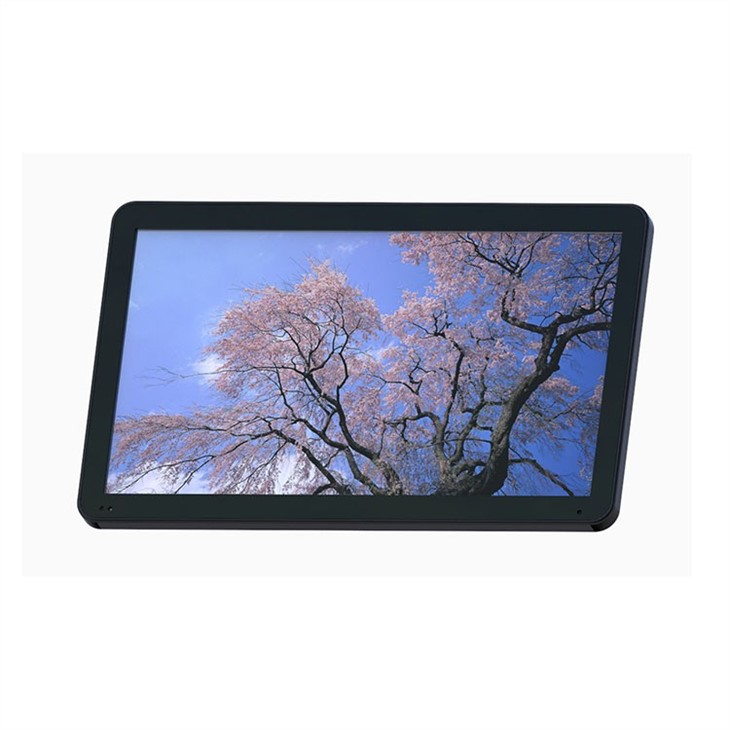 23.6 Inch DLED Backlight High Brightness LCD Panel