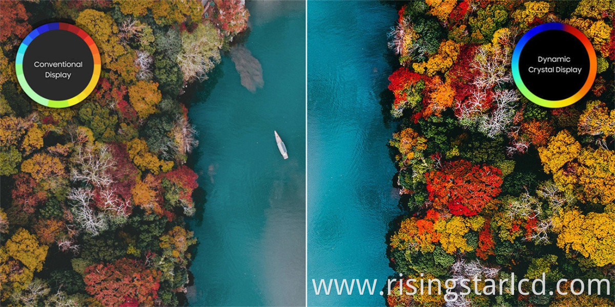 digital window display-01